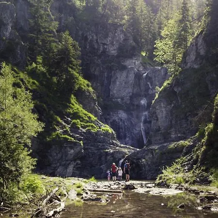 Alpenmotel Saeuling 3* بينسوانغ