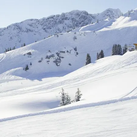Bed and Breakfast Alpenmotel Saeuling 3*