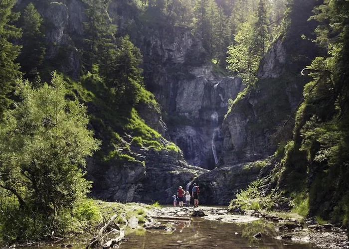 Alpenmotel Saeuling 3* Pinswang