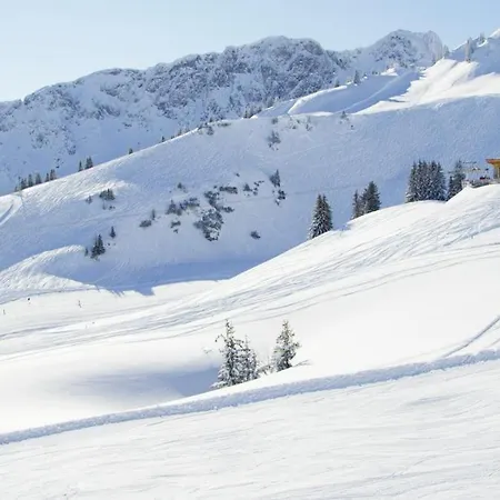 Alpenmotel Saeuling Bed and breakfast 3*